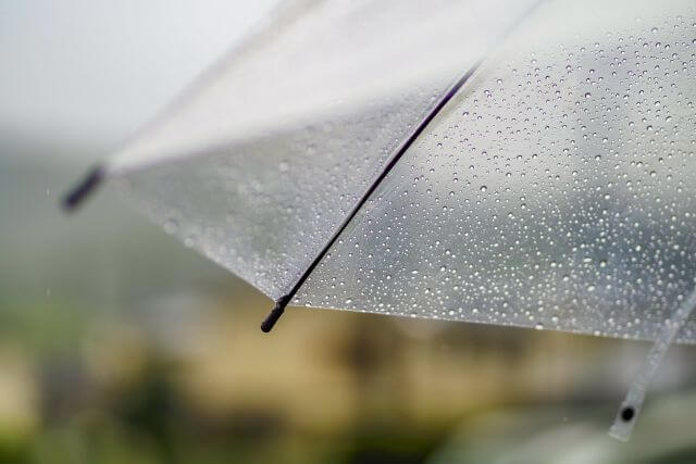 雨の日に開かれた透明な傘